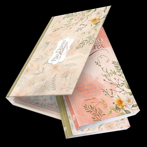 Box Pão Diário Mulheres | Edição de presente | O Senhor reina!: Meditações diárias de Mulheres para Mulheres, com um lindo caderno de notas