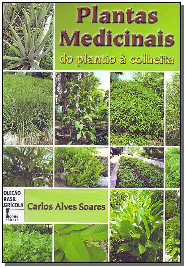 Livro Plantas Medicinais Do Plantio À Colheita