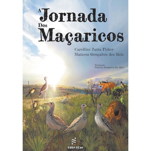Livro A Jornada Dos Maçaricos