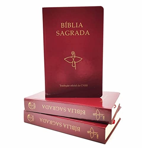 Bíblia Sagrada Capa Vinho Tradução Oficial Da Cnbb