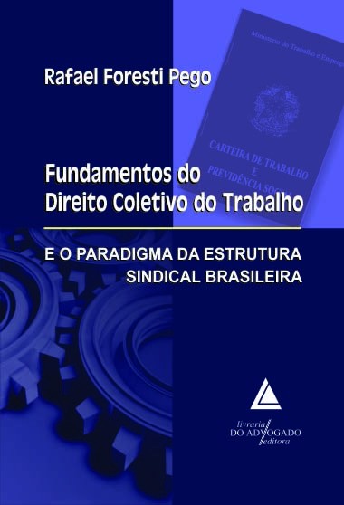 Fundamentos Do Direito Coletivo Do Trabalho E O Paradigma Da Estrutura Sindical Brasileira - 01Ed/12