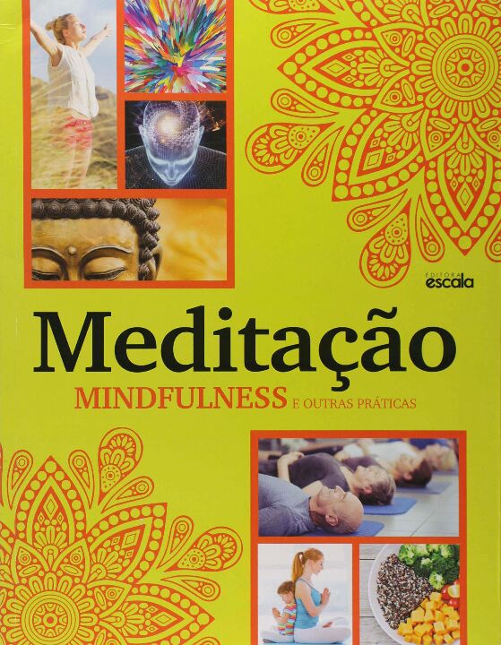 Livro Meditação Mindfulness E Outras Práticas