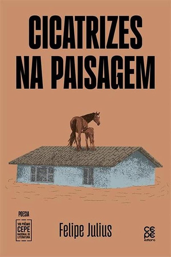 Cicatrizes Na Paisagem