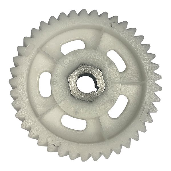 Engrenagem 41 Dentes Masseira Gpaniz Am05/15/25 Original
