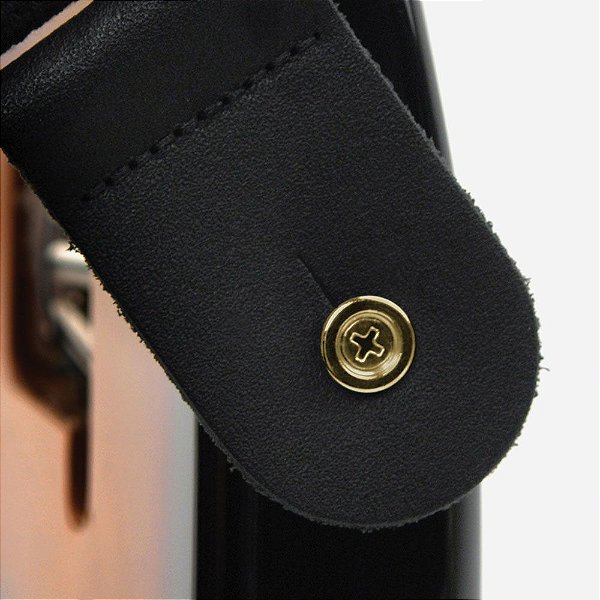 Roldana Correia Instrumentos Dourada (Par) D Addario PWEP302