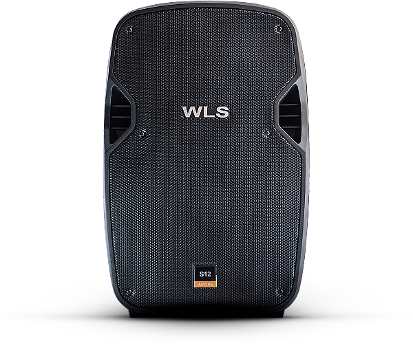 Caixa De Som Acústica WLS S12 12" 250w Com Bluetooth FM SD e USB