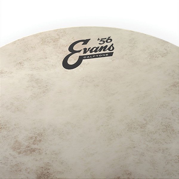Pele Batedeira Para Caixa E Surdo 16' Evans Calftone TT16C7