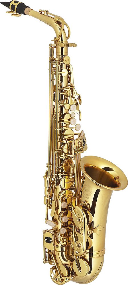 Saxofone Alto Hofma HSA 400 GLQ Com Estojo