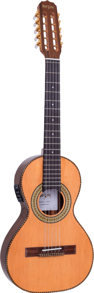 Viola Elétrica Rozini RV315 Presença Brasil FPP.N.LP