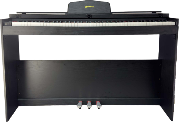 Piano Digital 88 Teclas DPST-88 Waldman