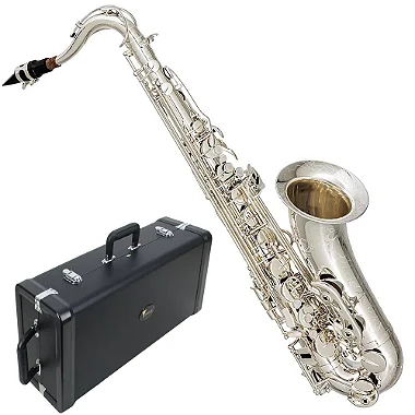 Saxofone Tenor Eagle Profissional Stx 513s Prateado Completo