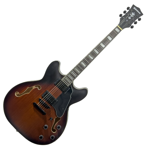 Guitarra Semiacústica Waldman GHO100 VSM Vintage Sunburst Matte com Captação HH