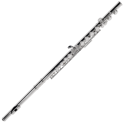 Flauta Transversal Michael WFLM32N Prateada Brilho Equilibrado G Off Set Extensão C Bocal Reto com Case e Acessórios