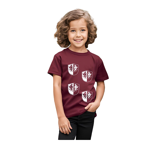 camiseta customizada infantil unissex escudo medieval 100% algodão confortável tamanhos 2 a 10