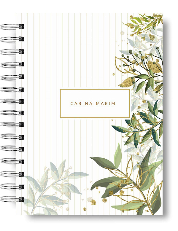 AGENDAS FEMININAS