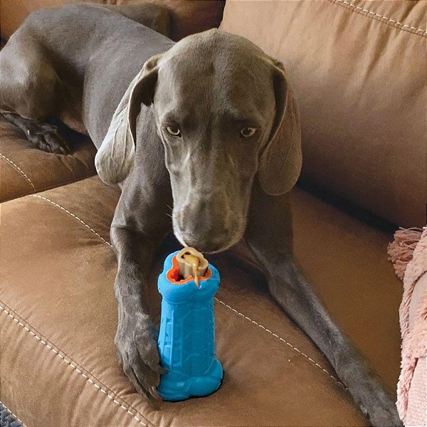 KONG TREATSTER SMALL