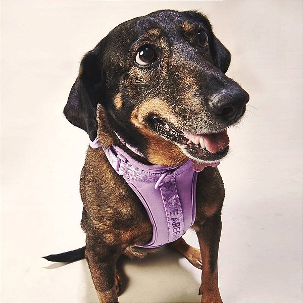 PEITORAL HARNESS - WE ARE FAMILY