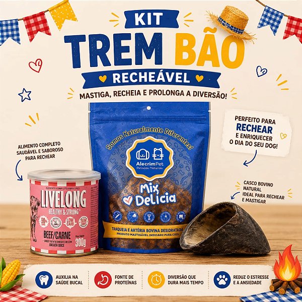 KIT TREM BÃO RECHEÁVEL