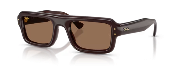 RAY BAN RB4954 689673 52 - ÓCULOS DE SOL