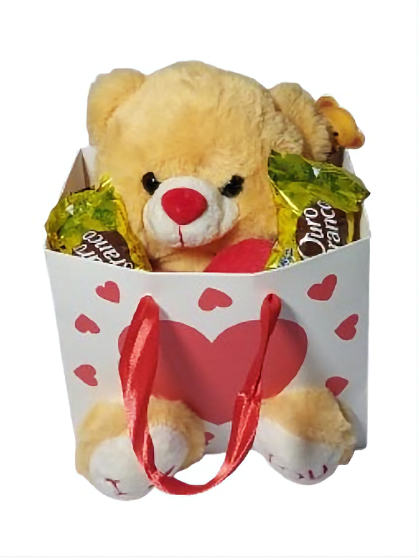 Urso com Coração Fofo na Sacolinha + Bombons Presente Romântico