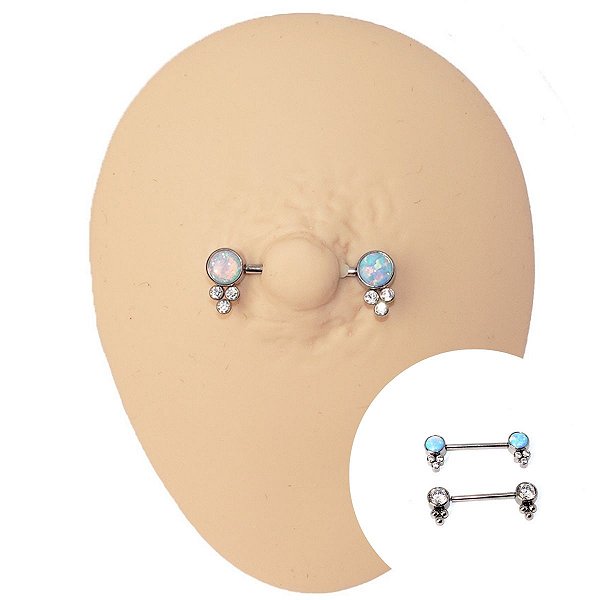 Piercing Barbell Reto Plug em Titânio Pahamma