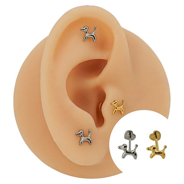 Piercing Labret Plug em Titânio Dog Pet
