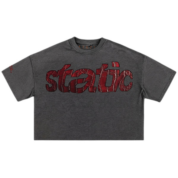CAMISETA BOXY DIGITAL CROCO STATIC (Cinza Estonada)