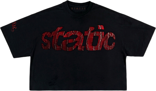 CAMISETA BOXY DIGITAL CROCO STATIC (Black)