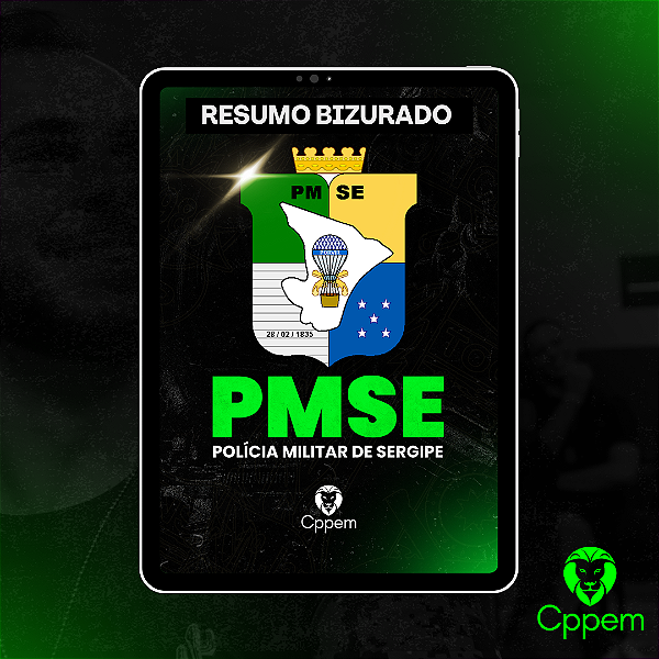 Resumo Bizurado Digital | PMSE