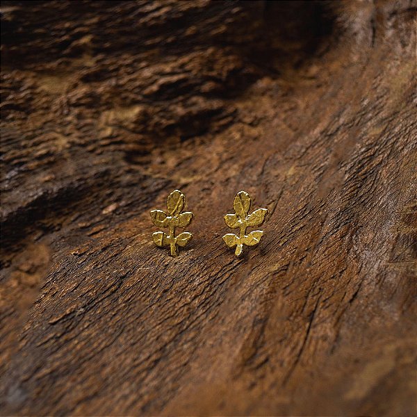 Brinco Fixo Ramo do Cerrado