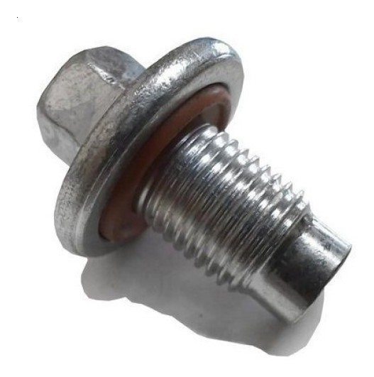 Parafuso bujao óleo carter E.torq Renegade 55224611