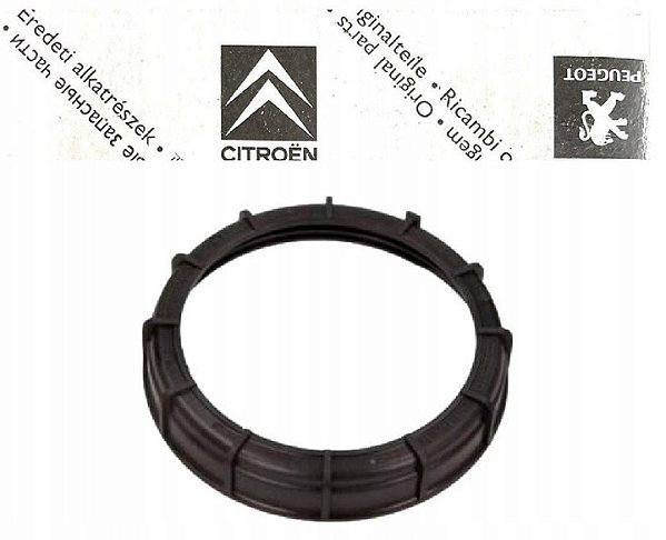 Porca fixação bomba combustível Peugeot 206 original 153120