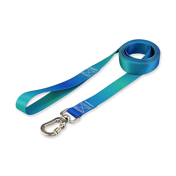 Guia para Cachorros Basic Pet 2 Metros Lake