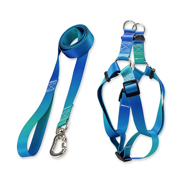 Kit para Cachorros Guia Basic + Peitoral Americano Lake