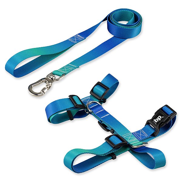 Kit para Cachorros Guia Basic + Peitoral H Lake