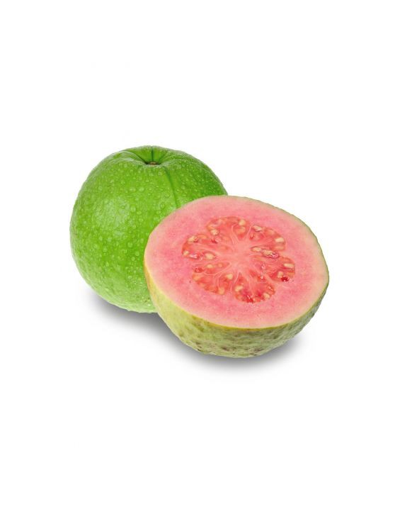 Sweet Guava - Capella