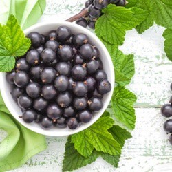 Black Currant - TPA