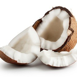 Coconut - TPA