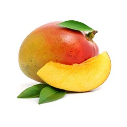 Mango - TPA