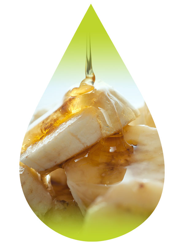 Banana Scotch Cream - Purilum