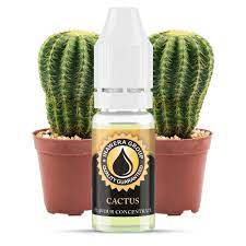 Cactus Concentrate - INW