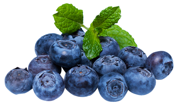 Blueberry - Chemnovatic
