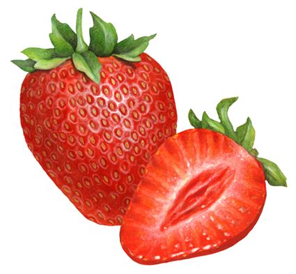 Indo Strawberry #2 - Capella