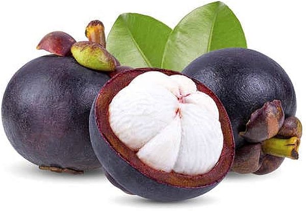 Mangosteen - FA