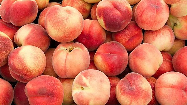 Peach W/O Stevia - Capella