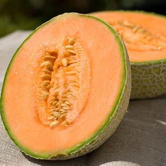 Cantaloupe - Essential Flavors (EF)