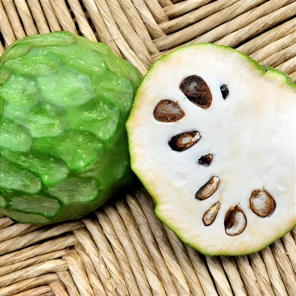 Cherimoya - WF