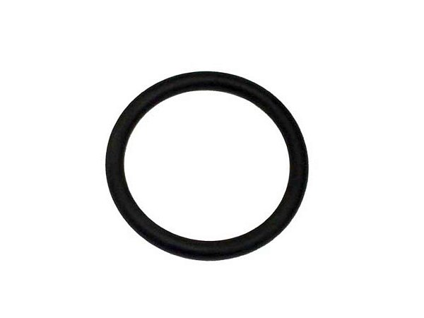 Kit Anel de Vedação para Termostato 34 X 4 Mercedes Motor OM 366 - 0119977048