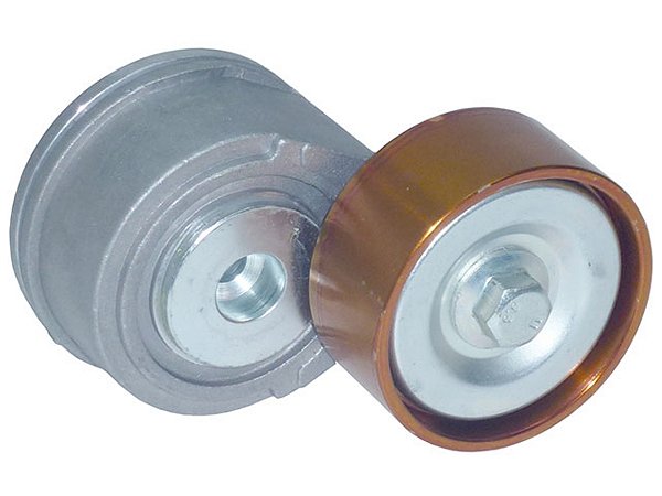 Esticador de Correia com Polia Aço Lisa sem Ore para Mercedes 924LA/ACCELO915C/OF1722M/ATEGO1315/1418 - 9062006770