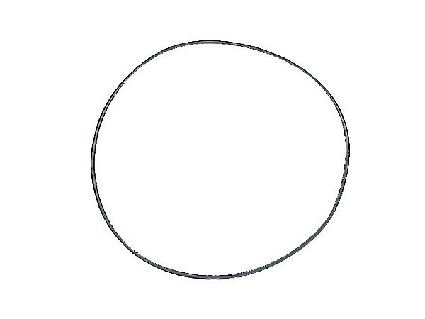 Kit Anel Oring para Flange da Bomba Injetora Sca Série 4 - 1332328